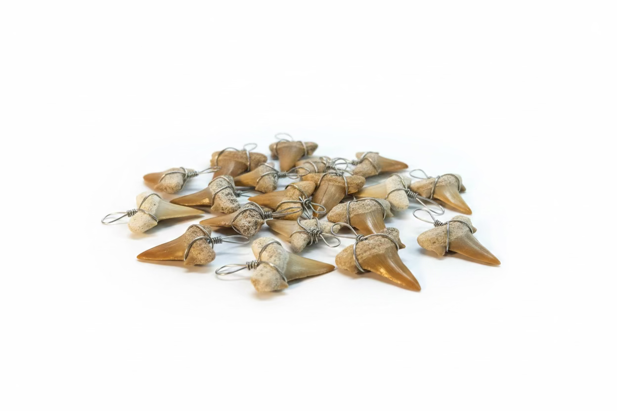 Ancient Guardian Shark Tooth Pendant