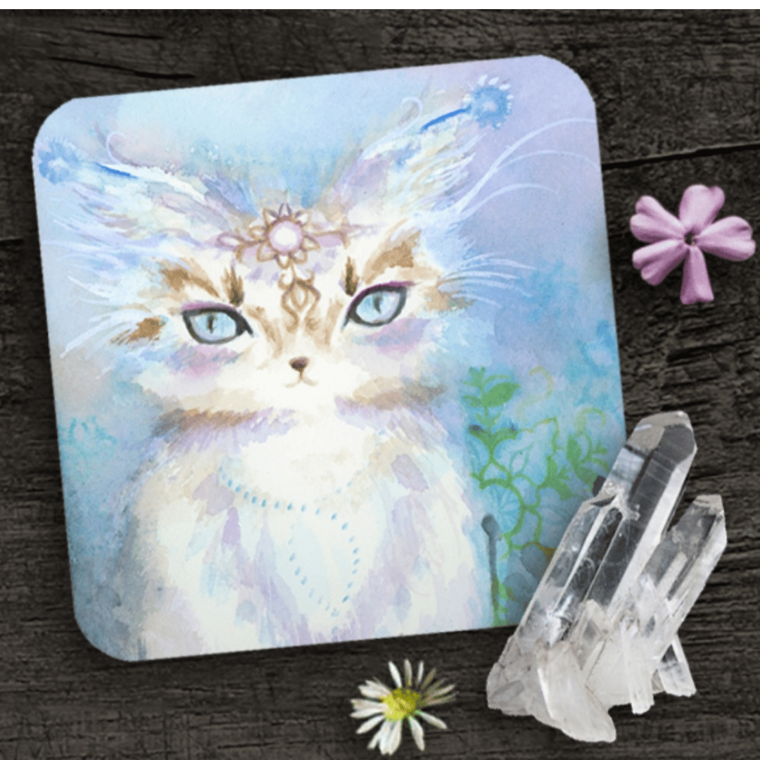 Spirit Cat Oracle Deck
