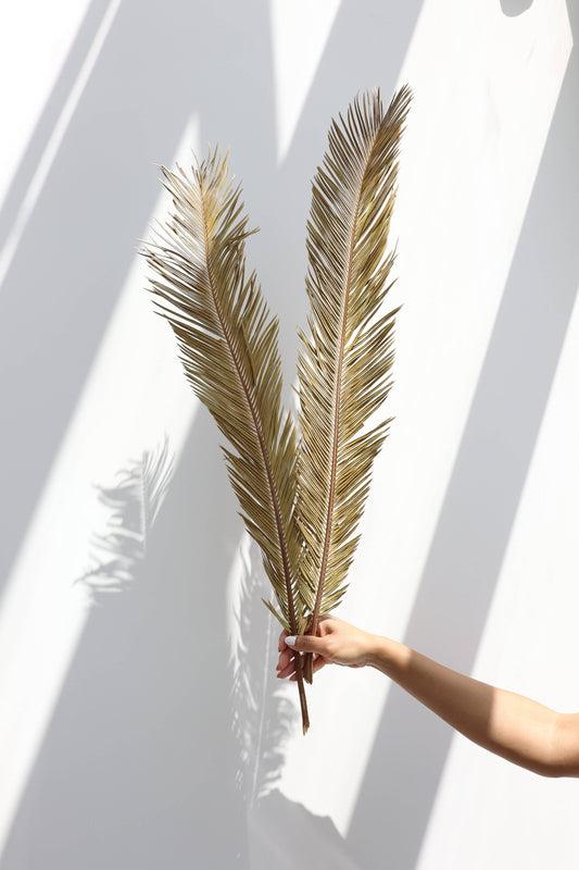 Dried Sago Palm leaves