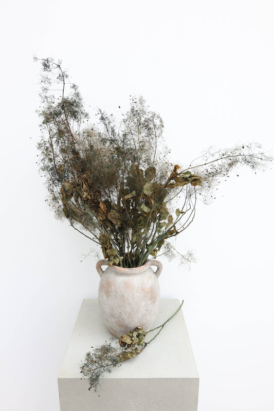 Preserved Smoke Bush 